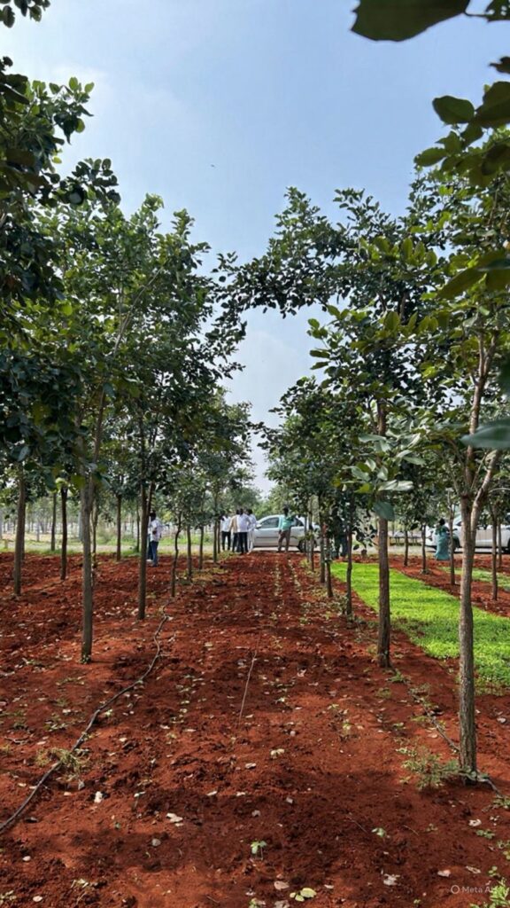 aparajitha-02