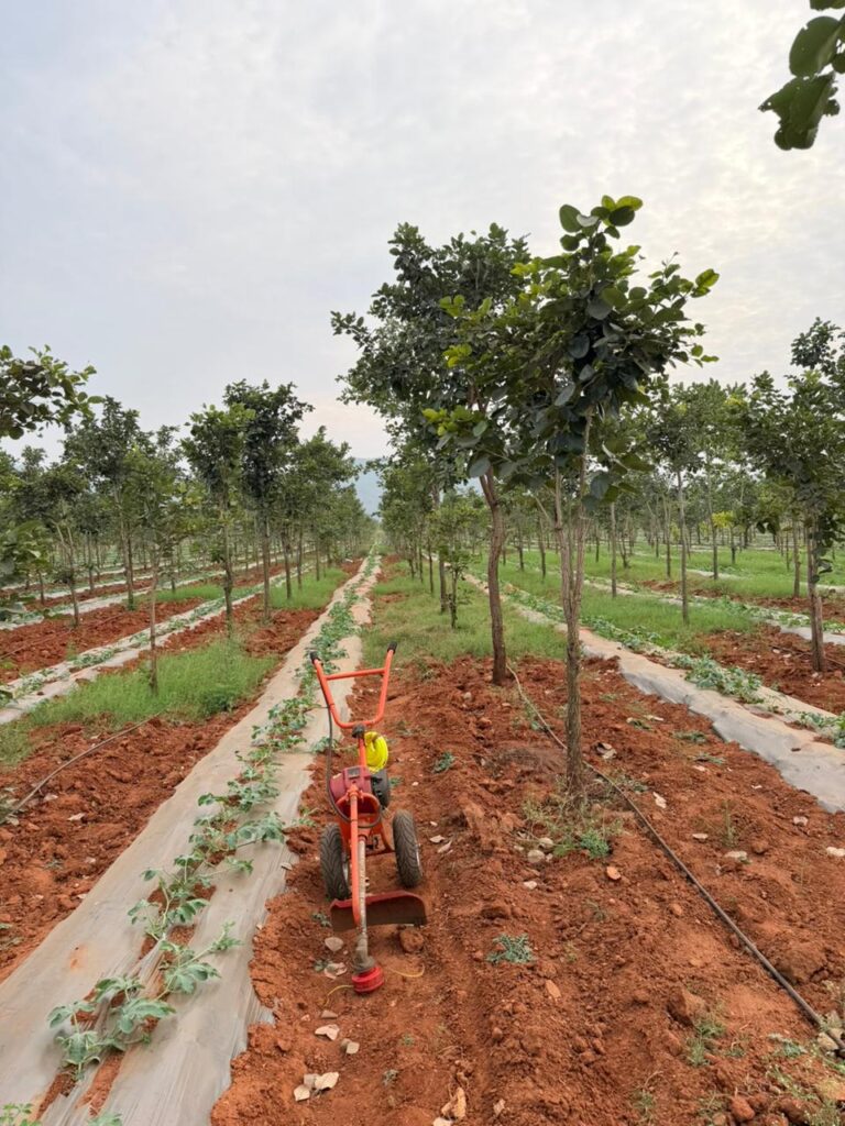 aparajitha-06